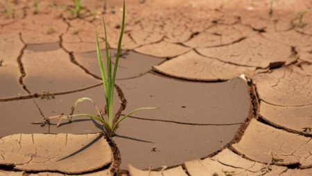 «Σοκ στην Κρήτη: Ο κάμπος της Μεσαράς κινδυνεύει να στεγνώσει!» «Σοκ στην Κρήτη: Ο κάμπος της Μεσαράς κινδυνεύει να στεγνώσει!»