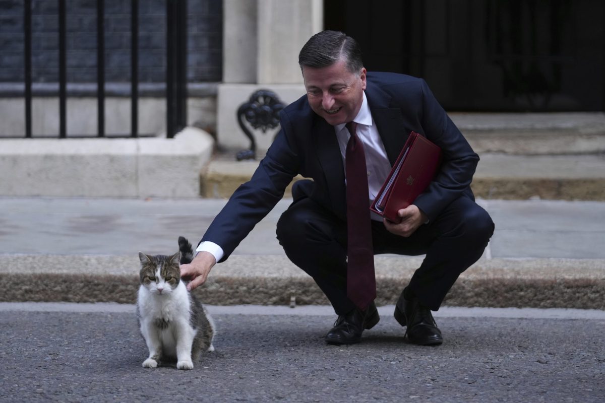 Συναρπαστική Έρευνα: Οι Γάτες Νιαουρίζουν Περισσότερο στους Άντρες – Δείτε Γιατί!