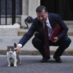 Συναρπαστική Έρευνα: Οι Γάτες Νιαουρίζουν Περισσότερο στους Άντρες – Δείτε Γιατί!