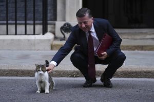 Συναρπαστική Έρευνα: Οι Γάτες Νιαουρίζουν Περισσότερο στους Άντρες – Δείτε Γιατί!