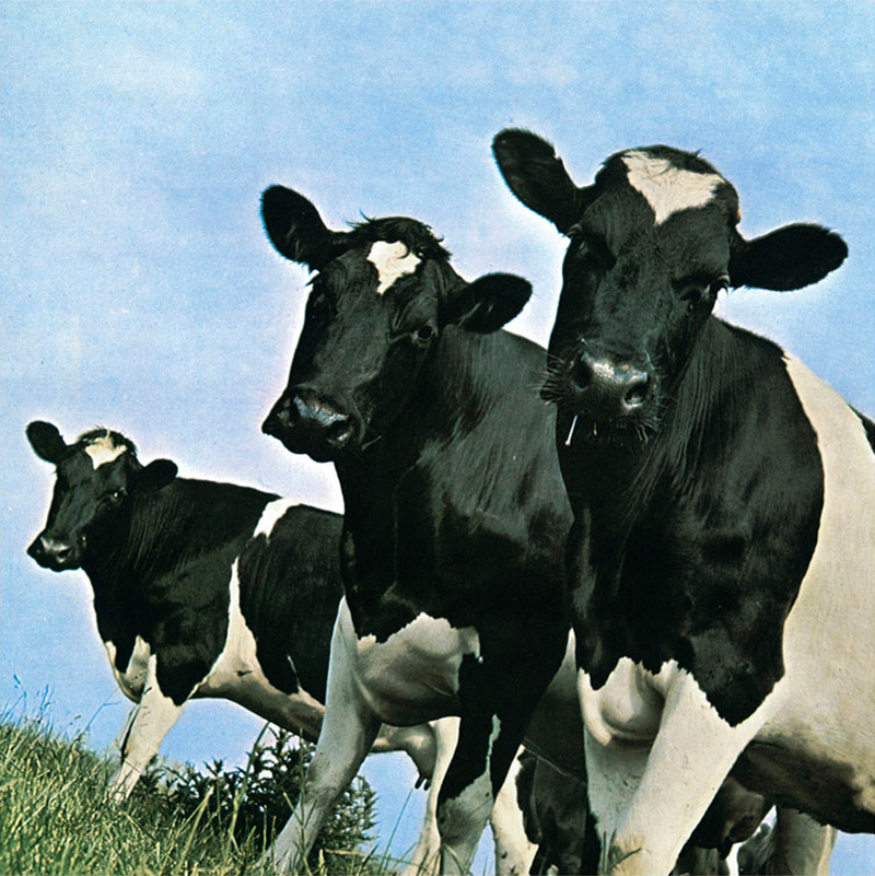 «Σαρωτική Κίνηση Τραμπ: Διατάζει Επείγουσα Λύση για Μείωση Τιμών Βοείου Κρέατος!» «Σαρωτική Κίνηση Τραμπ: Διατάζει Επείγουσα Λύση για Μείωση Τιμών Βοείου Κρέατος!»