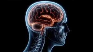 Ανακαλύψτε τις 5 Συναρπαστικές Στιγμές που Μεταμόρφωσαν τον Ανθρώπινο Εγκέφαλο! Ανακαλύψτε τις 5 Συναρπαστικές Στιγμές που Μεταμόρφωσαν τον Ανθρώπινο Εγκέφαλο!