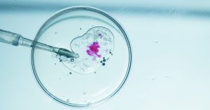 Ανακαλύφθηκαν τα Πιο Εξελιγμένα Εμβρυϊκά Μοντέλα: Η Επανάσταση στη Βιολογία είναι Εδώ! Ανακαλύφθηκαν τα Πιο Εξελιγμένα Εμβρυϊκά Μοντέλα: Η Επανάσταση στη Βιολογία είναι Εδώ!