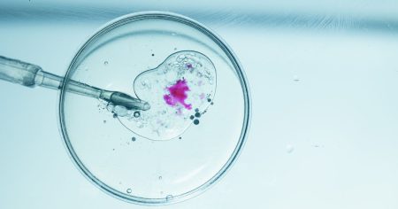 Ανακαλύφθηκαν τα Πιο Εξελιγμένα Εμβρυϊκά Μοντέλα: Η Επανάσταση στη Βιολογία είναι Εδώ! Ανακαλύφθηκαν τα Πιο Εξελιγμένα Εμβρυϊκά Μοντέλα: Η Επανάσταση στη Βιολογία είναι Εδώ!