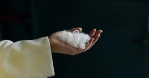 «Απίστευτο! Κασμίρ από πούπουλα κοτόπουλου; Ανακαλύψτε το μυστικό της Everbloom με την επανάσταση της AI!»