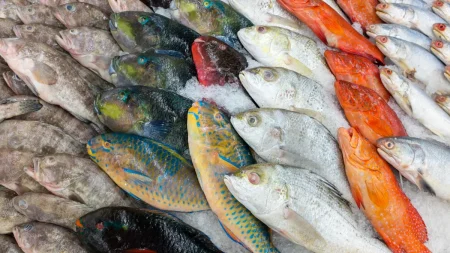 Φοβάστε ότι τα ψάρια σας είναι πολύ ψάρια; Οι έξυπνοι αισθητήρες μπορεί να σώσουν τη μύτη σας Φοβάστε ότι τα ψάρια σας είναι πολύ ψάρια; Οι έξυπνοι αισθητήρες μπορεί να σώσουν τη μύτη σας