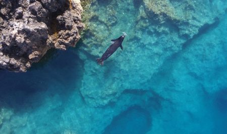 Ελληνική Τραγωδία: Απομονωμένοι σε Σπηλιές για να Γλιτώσουν από τους Τουρίστες! Ελληνική Τραγωδία: Απομονωμένοι σε Σπηλιές για να Γλιτώσουν από τους Τουρίστες!