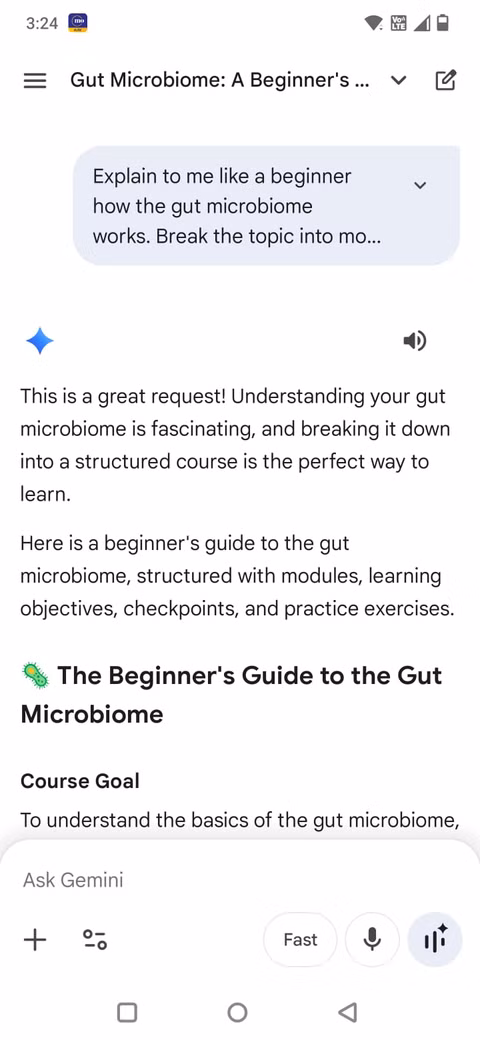Χρησιμοποίησα τον Δίδυμο ως προσωπικό δάσκαλο για πράγματα που προσποιούμαι ότι καταλαβαίνω Στιγμιότυπο οθόνης που δείχνει μια προτροπή στην εφαρμογή Gemini που ζητά μίνι μάθημα