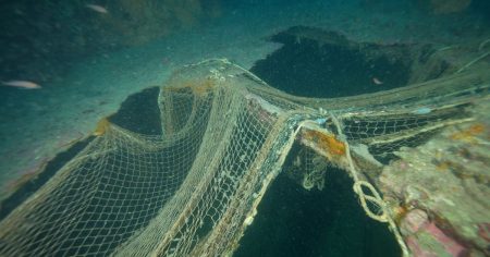 Ανακαλύψτε την επαναστατική τεχνολογία Green Plasma: Πώς τα εγκαταλελειμμένα αλιευτικά δίχτυα γίνονται πηγή ενέργειας! Ανακαλύψτε την επαναστατική τεχνολογία Green Plasma: Πώς τα εγκαταλελειμμένα αλιευτικά δίχτυα γίνονται πηγή ενέργειας!