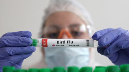 Καταστροφικό σενάριο! Οι επιστήμονες προειδοποιούν για την επερχόμενη απειλή της γρίπης των πτηνών! Καταστροφικό σενάριο! Οι επιστήμονες προειδοποιούν για την επερχόμενη απειλή της γρίπης των πτηνών!