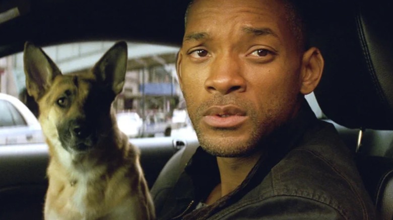 Ο Robert Neville (Will Smith) στο αυτοκίνητό του με τον σκύλο του στο I Am Legend κοιτάζοντας έξω από το παράθυρο του οδηγού