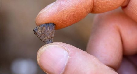 Η Συναρπαστική Ανακάλυψη που Αλλάζει τα Πάντα για τη Φωτιά – Αυτό που Δεν Γνωρίζατε!