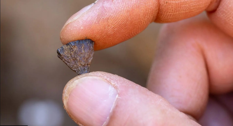 Η Συναρπαστική Ανακάλυψη που Αλλάζει τα Πάντα για τη Φωτιά – Αυτό που Δεν Γνωρίζατε! Η Συναρπαστική Ανακάλυψη που Αλλάζει τα Πάντα για τη Φωτιά – Αυτό που Δεν Γνωρίζατε!