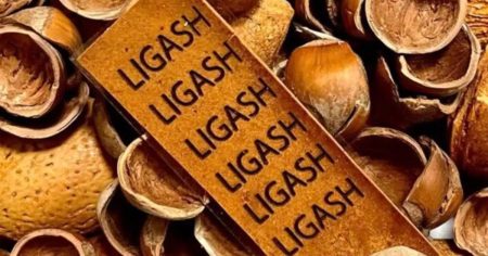 Ανακαλύψτε το Μυστικό Υλικό που Επαναστατεί την Πράσινη Ηλεκτρονική!