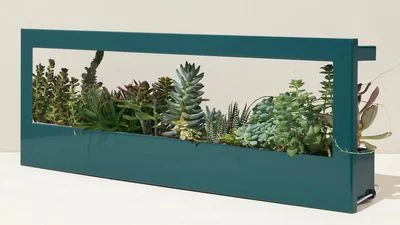 MacRumors 2025 Holiday Gift Guide modern sprout light