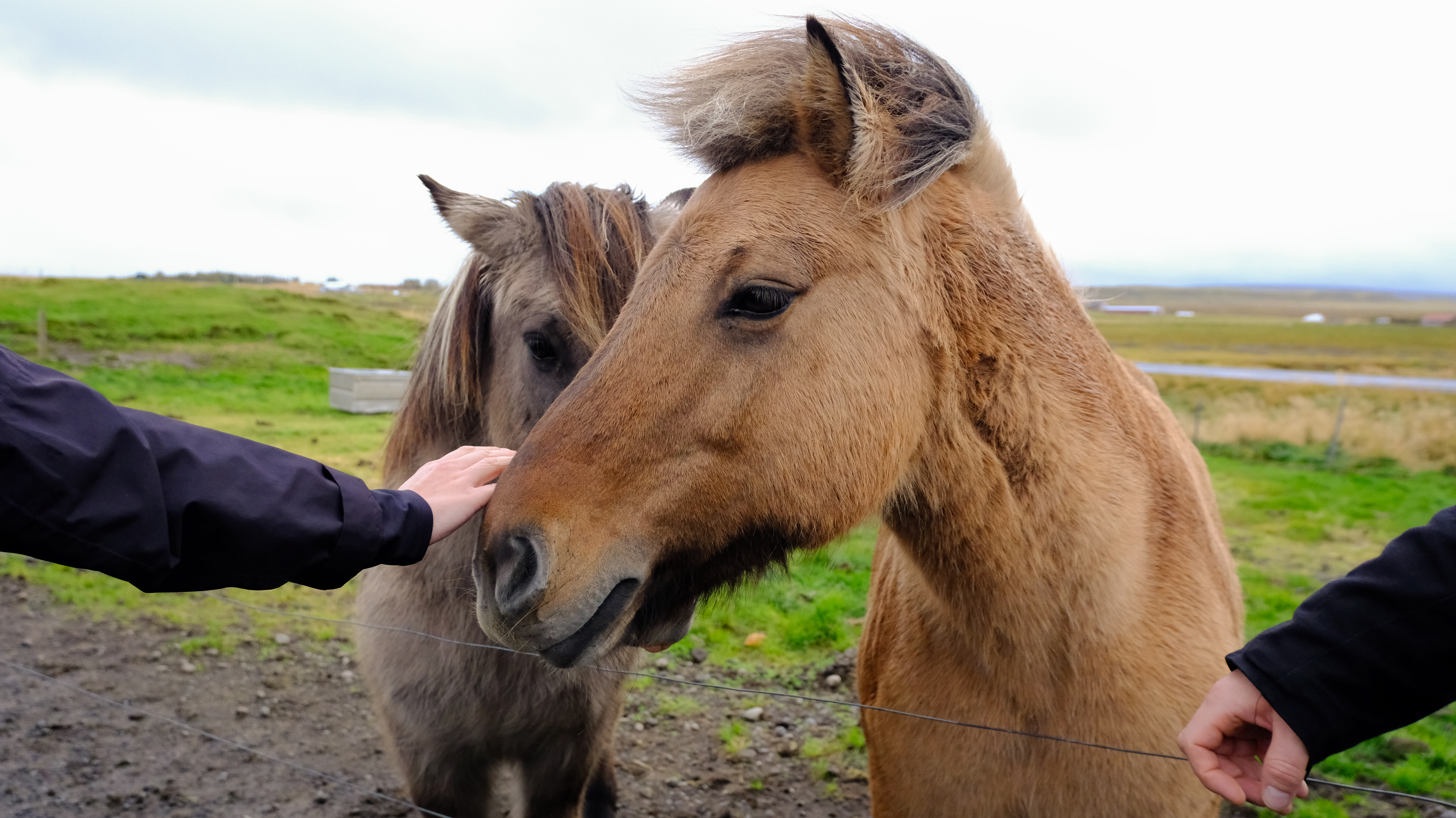 Μια φωτογραφία της Ισλανδίας τραβηγμένη σε μια κάμερα χωρίς καθρέφτη Fujifilm X-T50