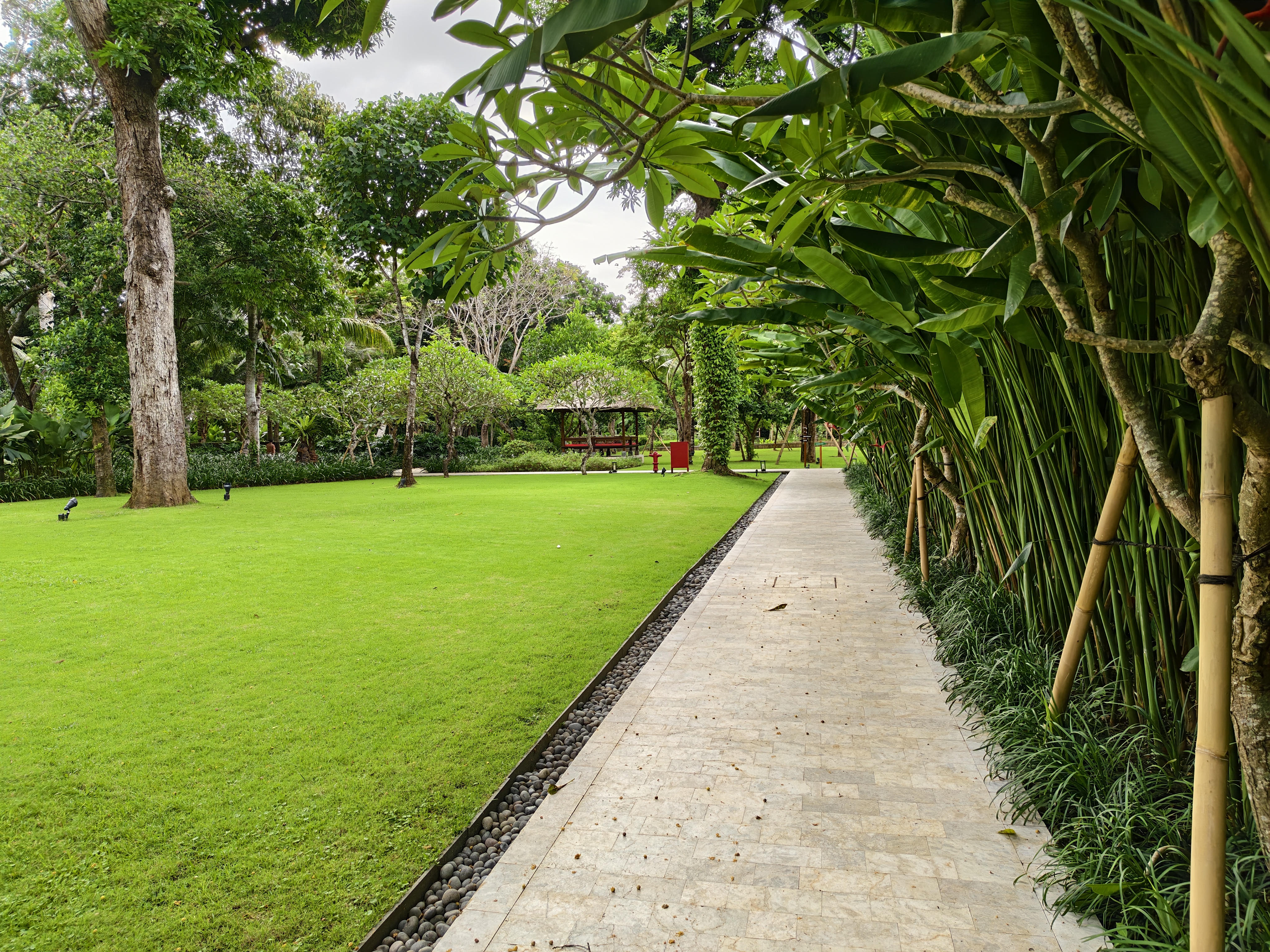 Αναθεώρηση iQOO 15: Οι μεγάλες αναβαθμίσεις συνοδεύονται από εξίσου μεγάλη τιμή Στιγμιότυπα κάμερας iQOO 15 στο Android Central