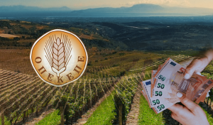 Σοκ στο χωράφι: 3.000 «ιδιοκτήτες» αγρών πέφτουν στη δαγκάνα της ΑΑΔΕ! Τι κρύβεται πίσω από την εξέλιξη αυτή;