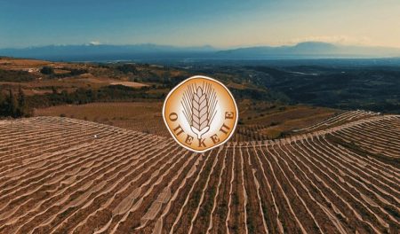 Ανατροπή στην υποστήριξη αγροτών: Ενστάσεις για αγροτεμάχια χωρίς ΚΑΕΚ – Τι πρέπει να ξέρετε για το Μέτρο 23!