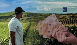 Σοκ: ΑΝΑΤΡΟΠΗ στις αγροτικές πληρωμές! Ο ΕΛΓΑ «άδειασε» λογαριασμούς – Τι κρύβεται πίσω από το νέο αλαλούμ του ΟΠΕΚΕΠΕ!