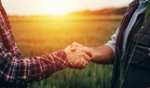 «Απίθανη Χρηματοδότηση για Μικρούς Παραγωγούς: Πώς να Εκμεταλλευτείς την Ευκαιρία! - »