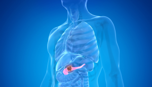 «Ανατρεπτική Έρευνα Αποκαλύπτει Γονίδια που Ίσως Προκαλούν τον Καρκίνο του Παγκρέατος – Μάθε τι έδειξε!» «Ανατρεπτική Έρευνα Αποκαλύπτει Γονίδια που Ίσως Προκαλούν τον Καρκίνο του Παγκρέατος – Μάθε τι έδειξε!»