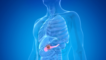 «Ανατρεπτική Έρευνα Αποκαλύπτει Γονίδια που Ίσως Προκαλούν τον Καρκίνο του Παγκρέατος – Μάθε τι έδειξε!» «Ανατρεπτική Έρευνα Αποκαλύπτει Γονίδια που Ίσως Προκαλούν τον Καρκίνο του Παγκρέατος – Μάθε τι έδειξε!»