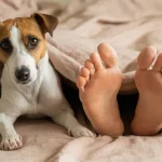 Θα με έτρωγε πραγματικά ο σκύλος ή η γάτα μου αν πέθαινα μόνος;