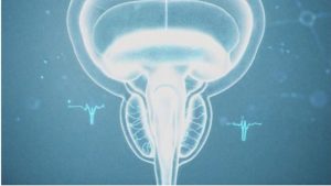 «Ανακαλύψτε γιατί η διάρκεια της ορμονοθεραπείας πρέπει να προσαρμόζεται ειδικά για εσάς!»