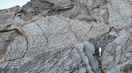 Σοκαριστική ανακάλυψη στην Ιταλία: Χιλιάδες αποτυπώματα δεινοσαύρων ανακαλύφθηκαν στους Άλπεις, κοντά στους χώρους των Χειμερινών Ολυμπιακών Αγώνων! Σοκαριστική ανακάλυψη στην Ιταλία: Χιλιάδες αποτυπώματα δεινοσαύρων ανακαλύφθηκαν στους Άλπεις, κοντά στους χώρους των Χειμερινών Ολυμπιακών Αγώνων!