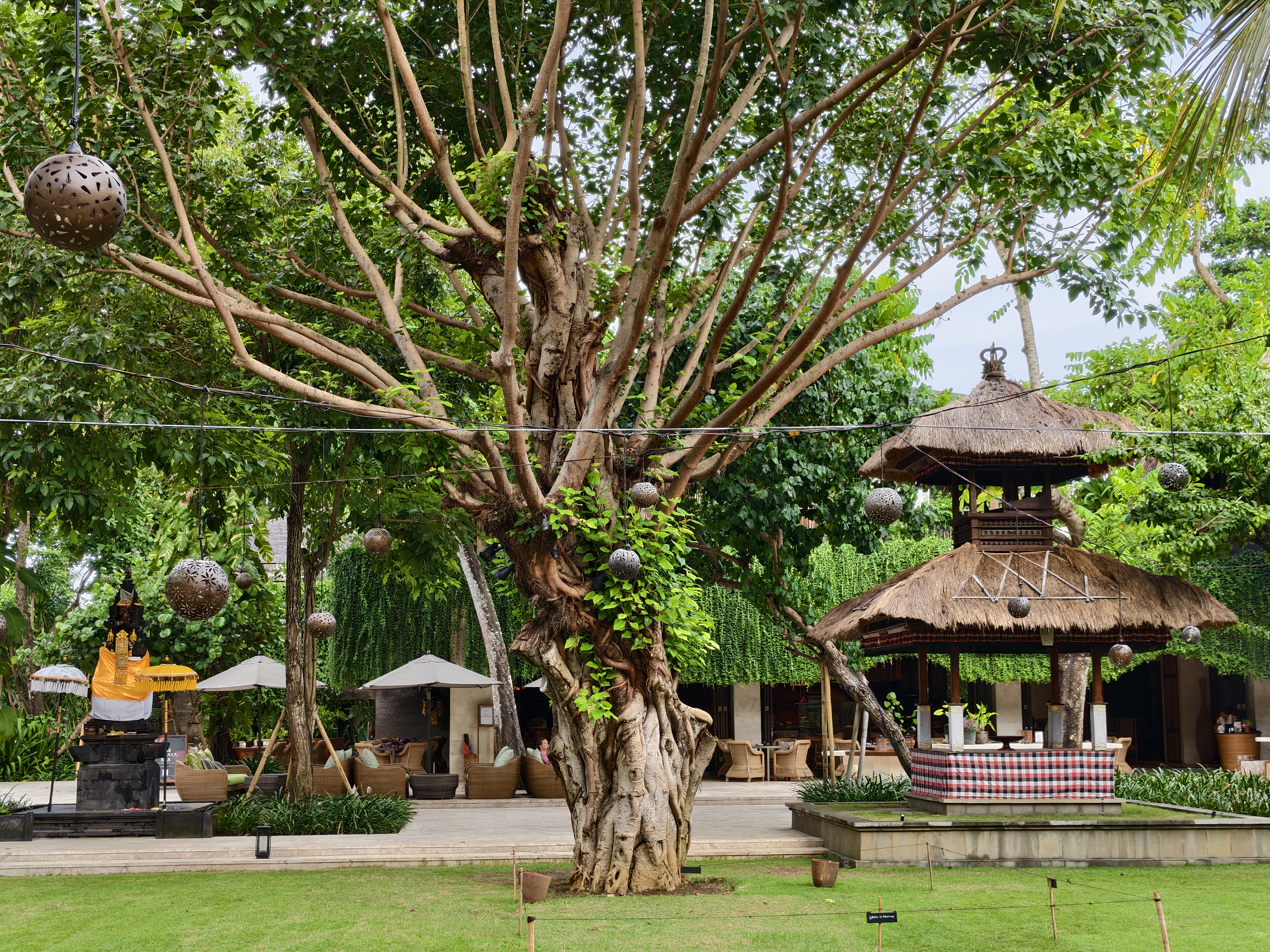 Αναθεώρηση iQOO 15: Οι μεγάλες αναβαθμίσεις συνοδεύονται από εξίσου μεγάλη τιμή Στιγμιότυπα κάμερας iQOO 15 στο Android Central