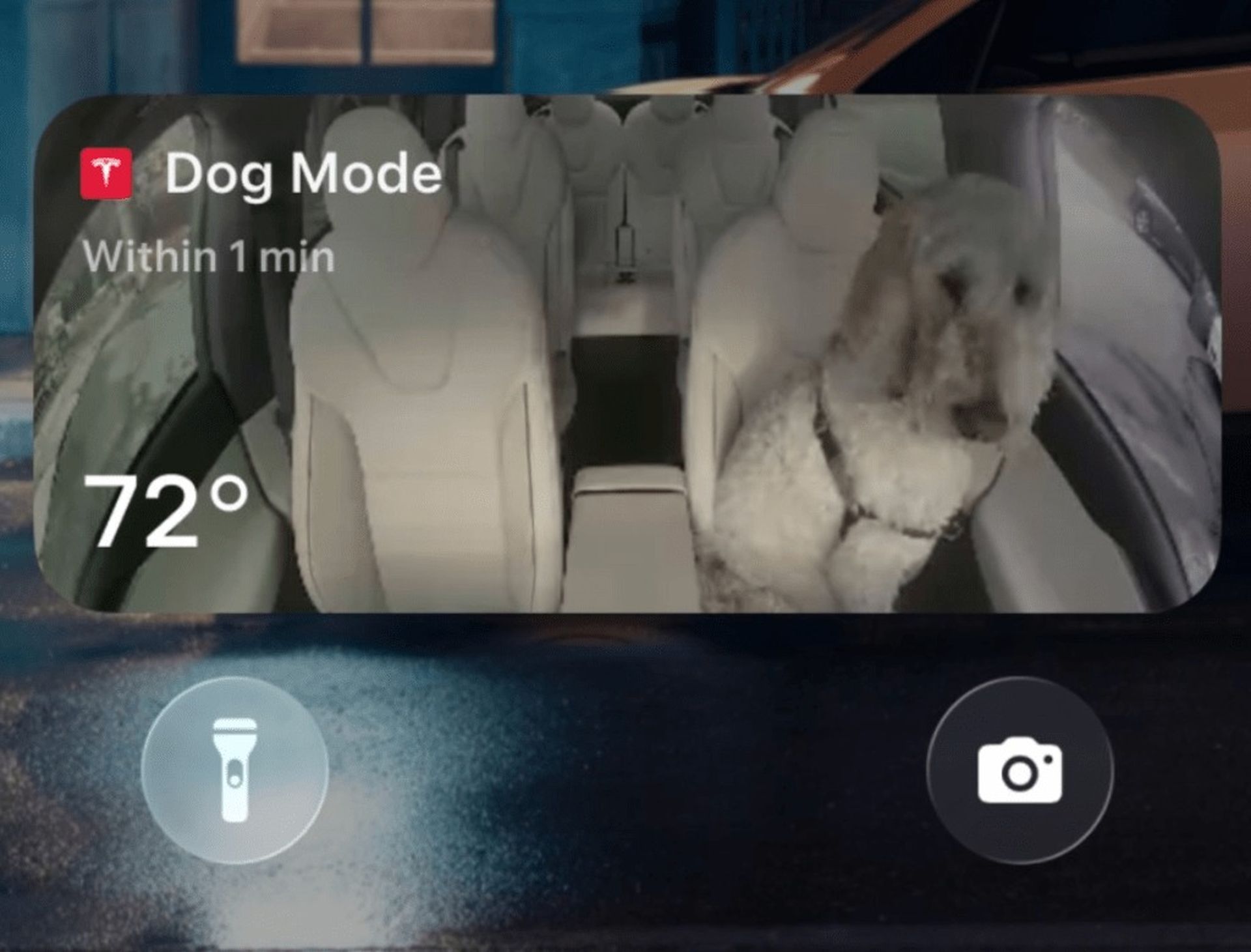 Η πλοήγηση Grok, το Photobooth και οι χρήσιμες βοηθητικές λειτουργίες έρχονται με την Ενημέρωση διακοπών 3 του Tesla 2025 Ενημέρωση διακοπών Tesla 2025