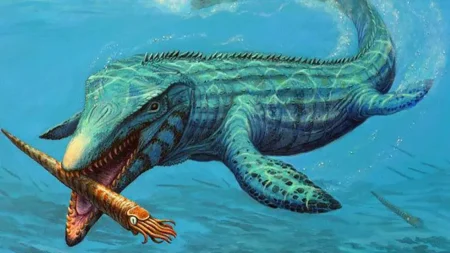 «Ανακαλύψτε τα Μυστικά Καταφύγια των Γιγάντιων Θαλάσσιων Τεράτων – Τα Εντυπωσιακά Μυθολογικά Πλάσματα που Σκορπούν Φόβο!» «Ανακαλύψτε τα Μυστικά Καταφύγια των Γιγάντιων Θαλάσσιων Τεράτων – Τα Εντυπωσιακά Μυθολογικά Πλάσματα που Σκορπούν Φόβο!»