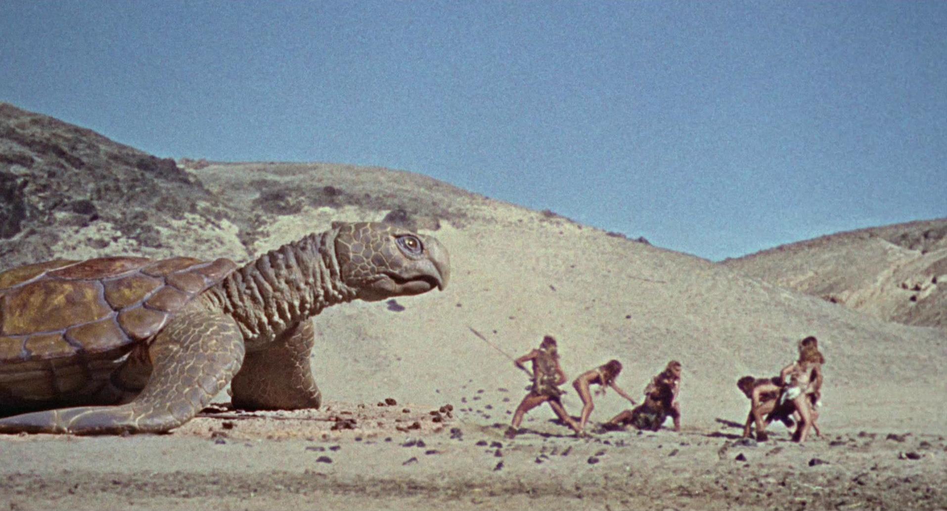 Άνθρωποι προστατεύονται από μια τεράστια χελώνα