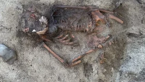 Άνδρας με ανιχνευτή μετάλλων σκοντάφτει στον μπερδεμένο τάφο της Εποχής των Βίκινγκς Άνδρας με ανιχνευτή μετάλλων σκοντάφτει στον μπερδεμένο τάφο της Εποχής των Βίκινγκς