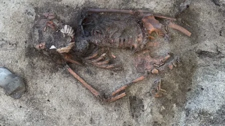 Άνδρας με ανιχνευτή μετάλλων σκοντάφτει στον μπερδεμένο τάφο της Εποχής των Βίκινγκς