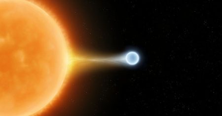 «Ανατροπή: Οι λευκοί νάνοι αποδεικνύονται πιο ζωντανοί από ποτέ!» «Ανατροπή: Οι λευκοί νάνοι αποδεικνύονται πιο ζωντανοί από ποτέ!»