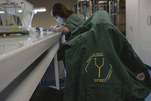 Πώς η πραγματικότητα συνέτριψε την Ÿnsect, τη γαλλική startup που είχε συγκεντρώσει πάνω από 600 εκατομμύρια δολάρια για την εκτροφή εντόμων Πώς η πραγματικότητα συνέτριψε την Ÿnsect, τη γαλλική startup που είχε συγκεντρώσει πάνω από 600 εκατομμύρια δολάρια για την εκτροφή εντόμων