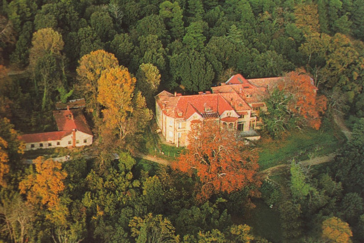 «Τατόι: Μια Επένδυση που Θ’ Αλλάξει τα Πάντα – Ξεκίνησε ο Διαγωνισμός!» «Τατόι: Μια Επένδυση που Θ’ Αλλάξει τα Πάντα - Ξεκίνησε ο Διαγωνισμός!»