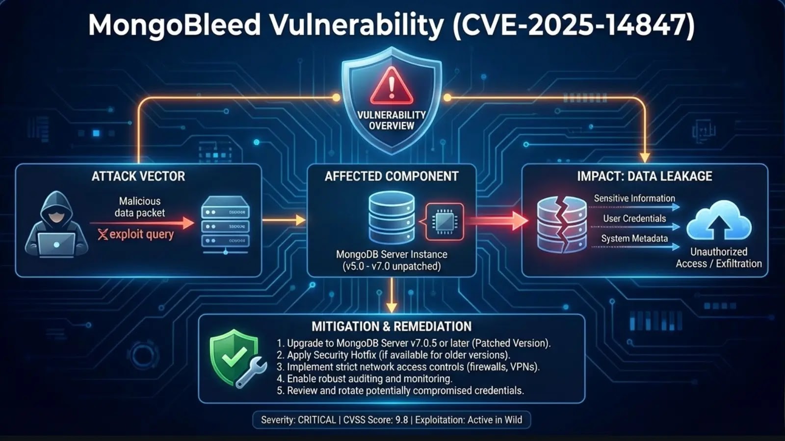 Top 10 High-Risk Vulnerabilities