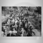 Ανακαλύψτε την Σοκαριστική Νέα Σειρά Ντοκιμαντέρ της ΕΡΤ3: «Τα Απαγορευμένα Στρατόπεδα Εργασίας του Χίτλερ» - Μην τη Χάσετε!