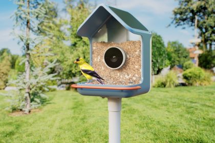CES 2026: Το Birdbuddy κάνει το ντεμπούτο του νέου Smart Bird Feeders