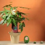 CES 2026: Το Senso είναι ένας έξυπνος αισθητήρας εγκαταστάσεων με AI Tamagotchi