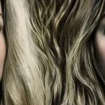 «Η επιτυχία του The Housemaid προκαλεί πανικό! Δείτε ποια είναι η απίστευτη συνέχεια που έρχεται!»