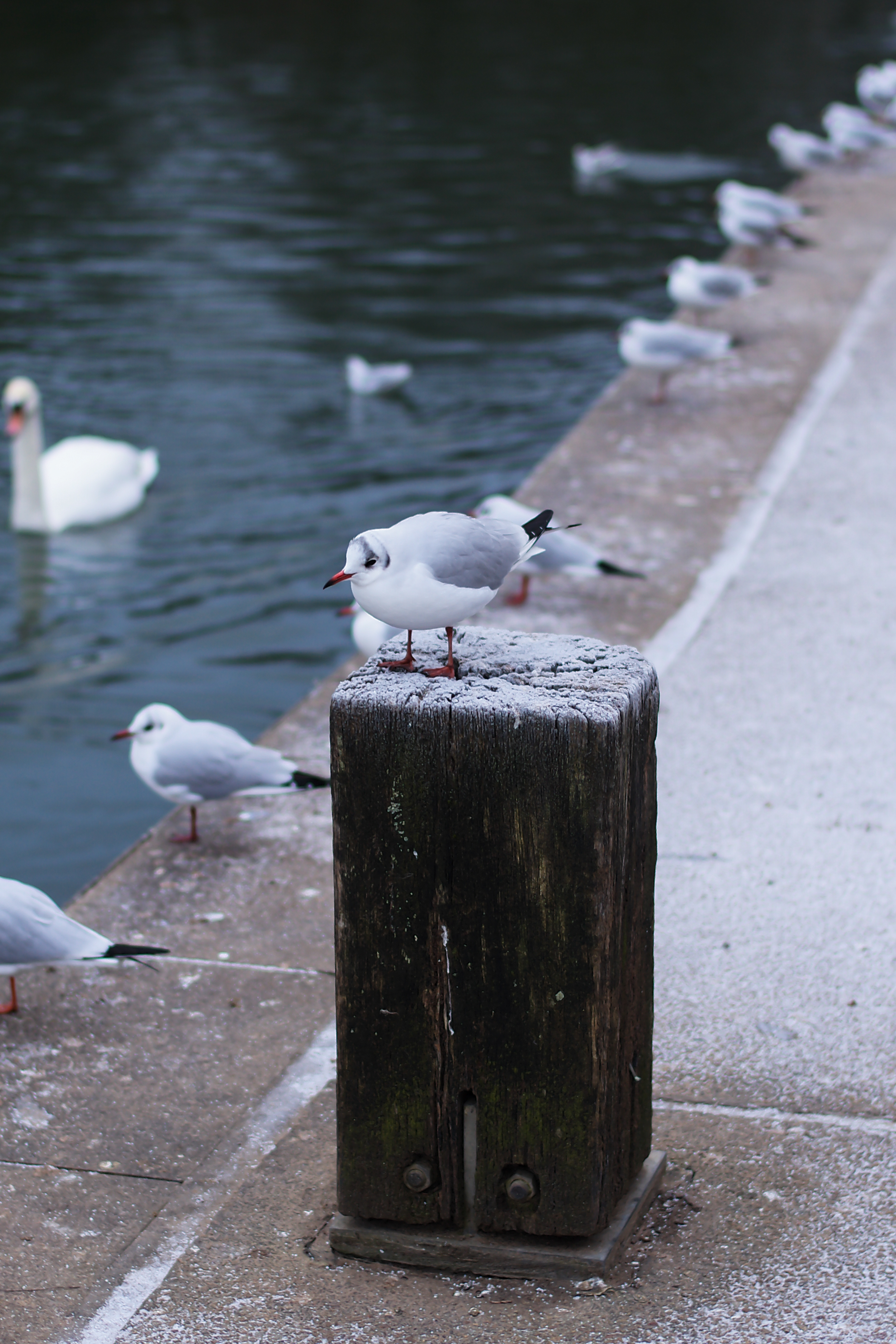 A photo taken on a Leica M EV1 rangefinder-style camera