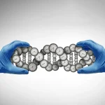 Οι επιστήμονες αποκαλύπτουν έναν κρυφό διακόπτη που ελέγχει τη μακροζωία