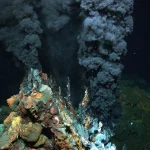 Το «αόρατο» ενεργειακό κόστος του να είσαι ζωντανός που η Φυσική αγνοούσε για πολύ