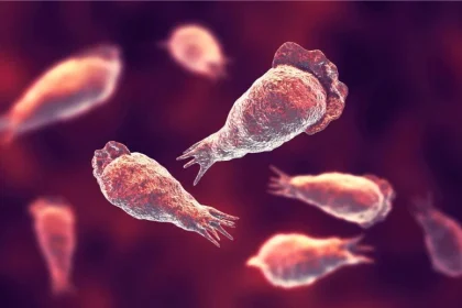 Οι επιστήμονες προειδοποιούν για μια αόρατη απειλή «εγκεφαλοφαγίας» που κρύβεται στα συστήματα νερού παγκοσμίως