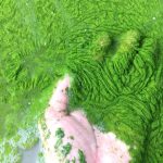 Θαλάσσιος μύκητας που ανακαλύφθηκε πρόσφατα επιτίθεται και σκοτώνει τοξικά φύκια