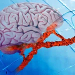 Οι επιστήμονες ανατρέπουν ένα γονίδιο κινδύνου Alzheimer - και αντιστρέφουν τα βασικά χαρακτηριστικά της νόσου